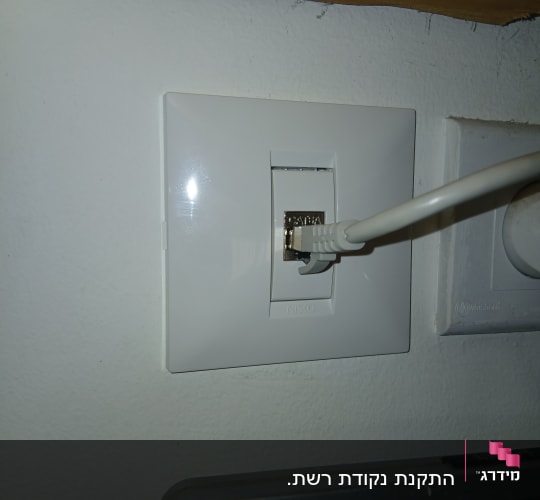 שקע רשת עם כבל מחובר לקיר